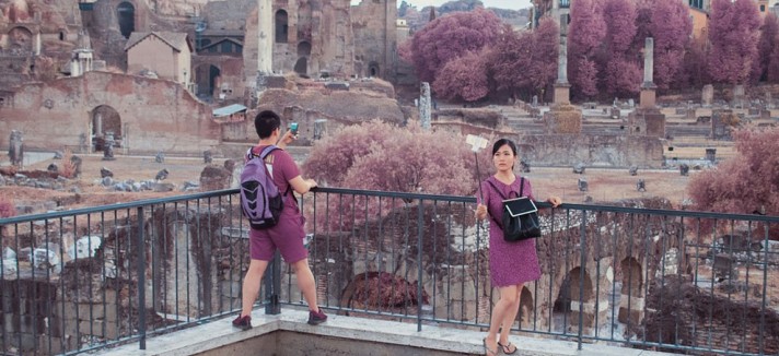 roma_rosa_01