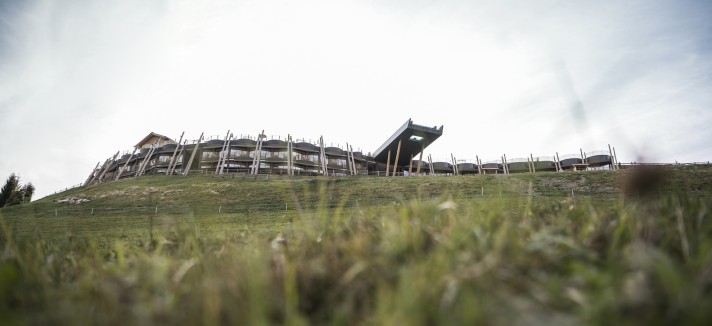 _dsc8461b