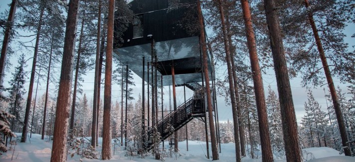 tree-hotel-noruega1