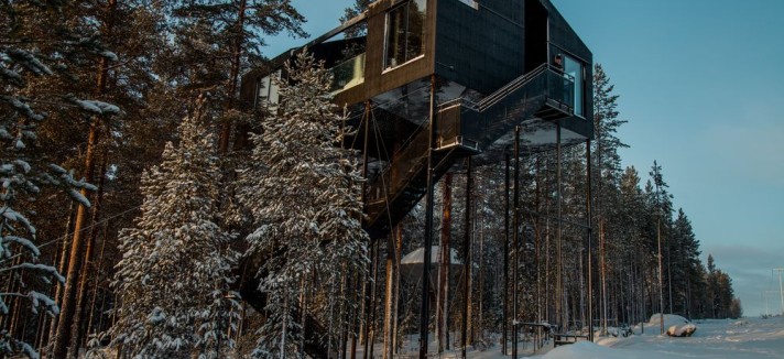 tree-hotel-noruega2
