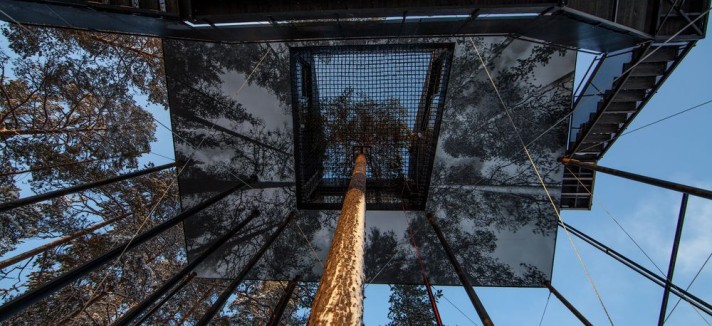 tree-hotel-noruega4