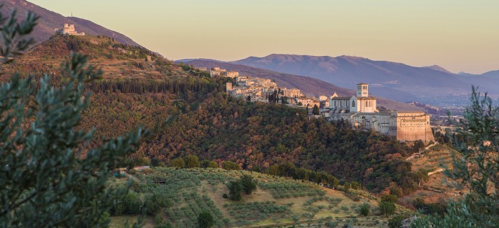 assisi_bosco_san_francesco