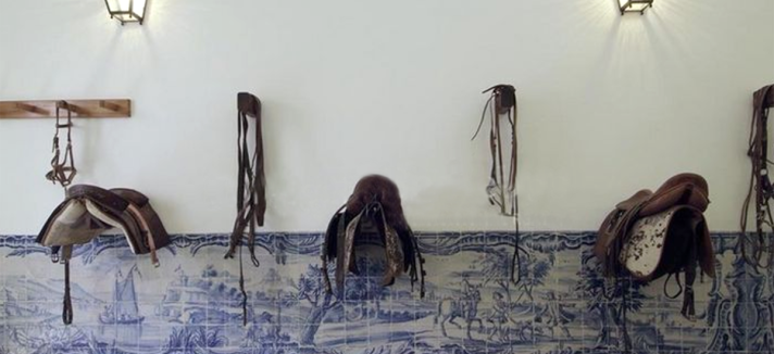 quinta_do_vinagre_madonna_091
