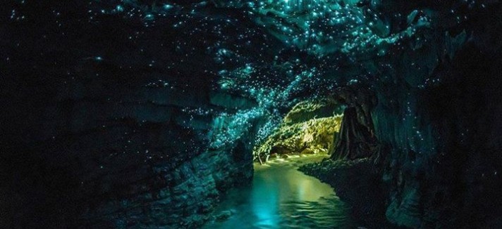 waitomo-cave-new_zealand