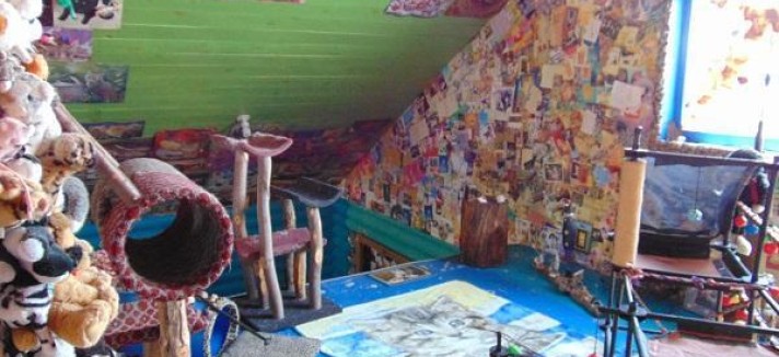 craziest-cat-house-ever-stanford-concho-arizona-5