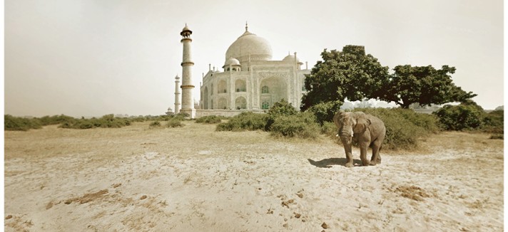 taj