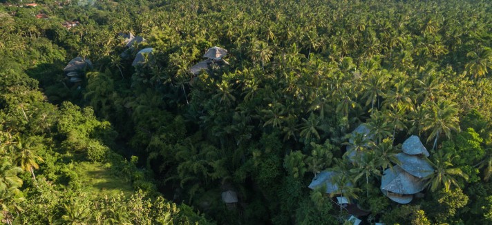 Green Village si trova nella foresta di Ubud, un'isola di Bali