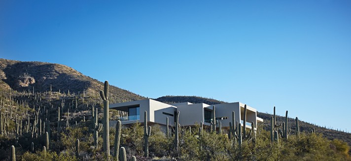 home-901-designboom-2