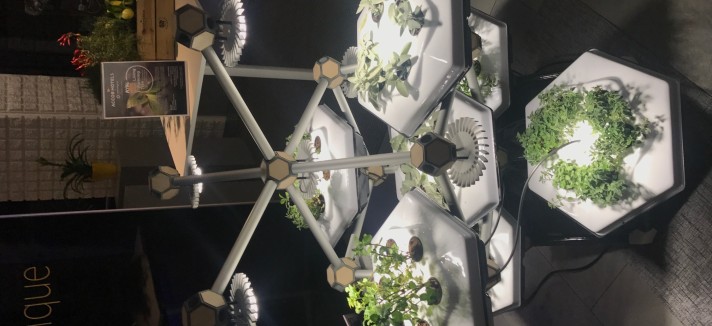 novotel_living_farming_tree