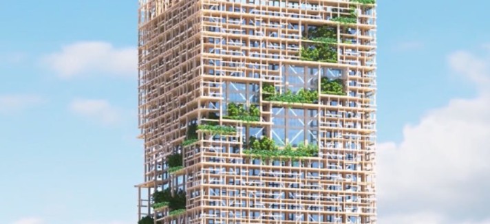 w350-project-by-sumitomo-forestry-3