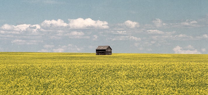 calgary