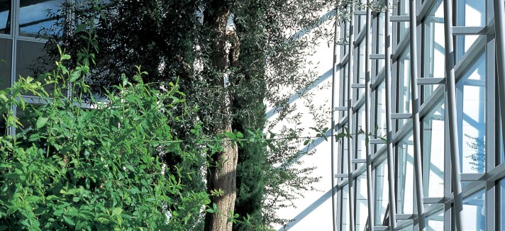 Crea un ambiente rilassato e tranquillo
