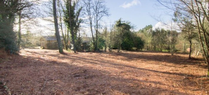 terreno
