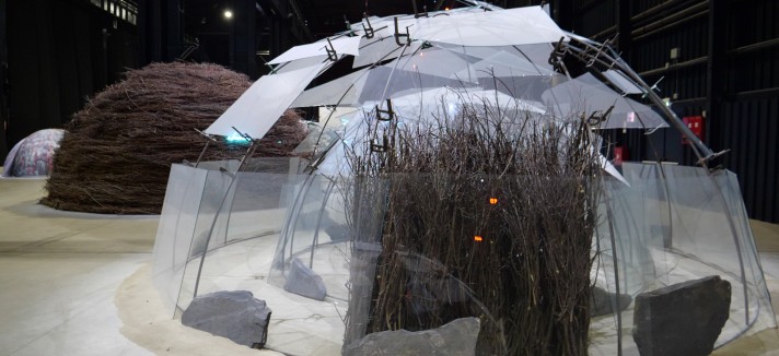 igloo6