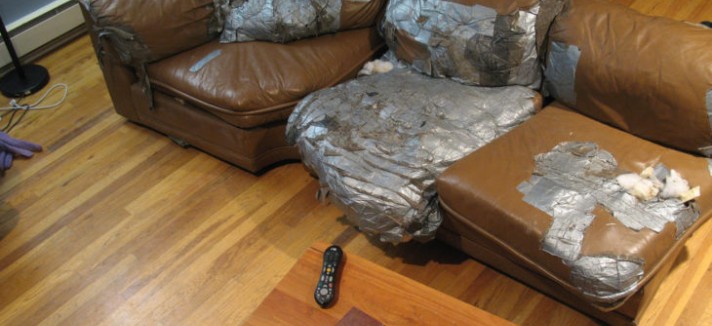 sofa