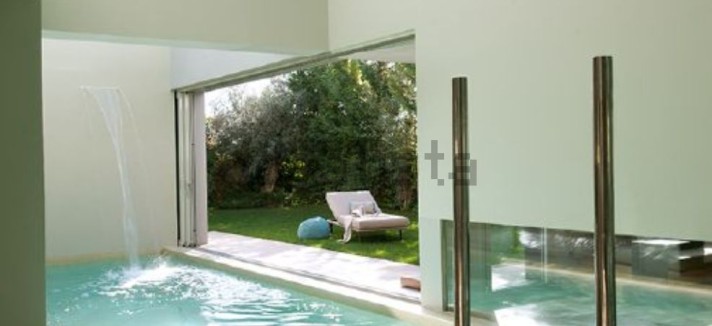 pisci