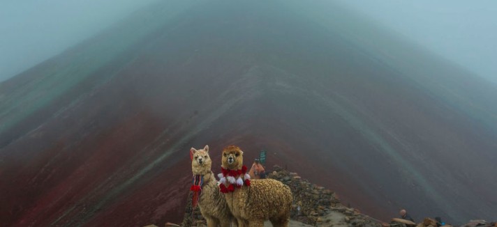 1llamas