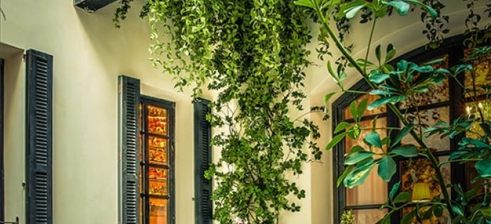 hotel-can-bordoy-jardin