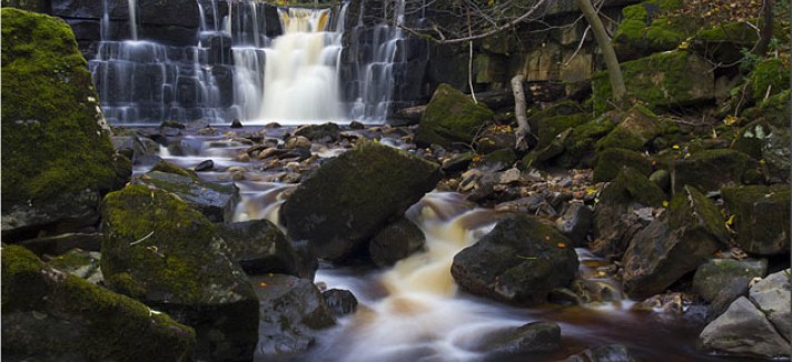 mill_and_whitfield_gill_force