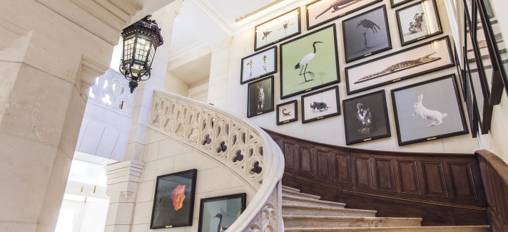 chateau-guerites-escaleras