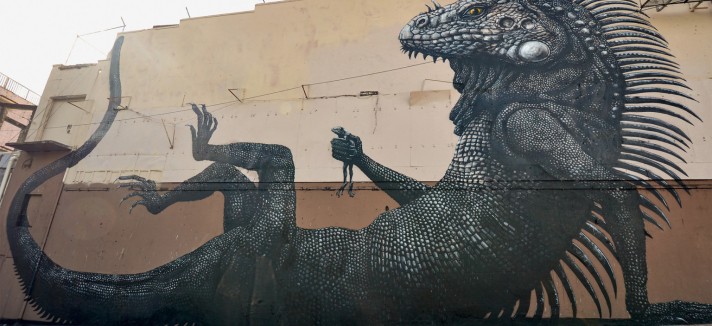 Iguana