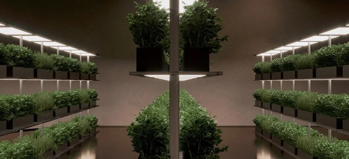 plan-b-underground-bunker-sergey2