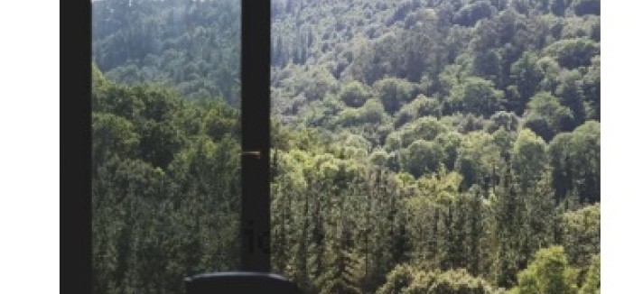 La natura circostante
