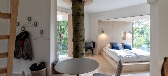 treetop-hotel-cabin-denmark_3