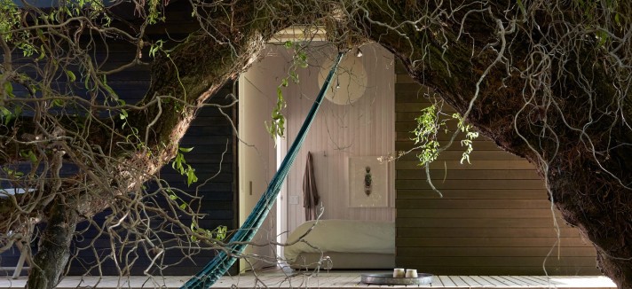 Circondata da acqua e alberi