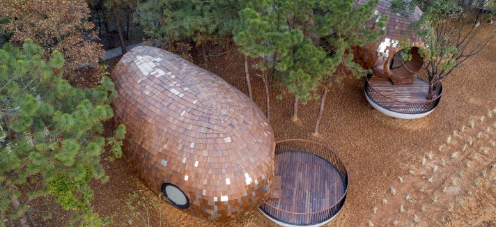 the-seeds-zjjz-holiday-cabins09