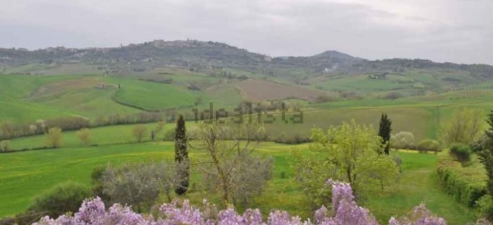 casale_motepulciano_06