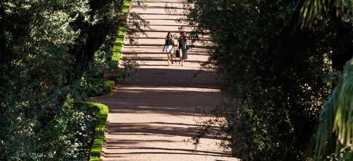 la_mamounia_979728083