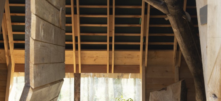 Gli alberi fanno parte del design interno