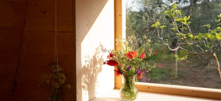 Mini casa prefabbricata in legno