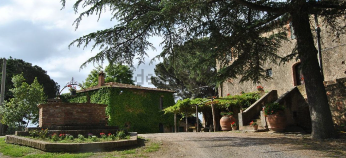 Borgo 5