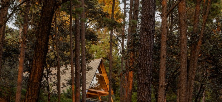 Case A-frame