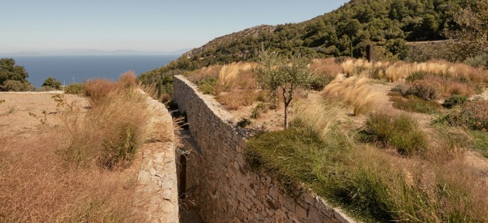 Vigneto Grecia