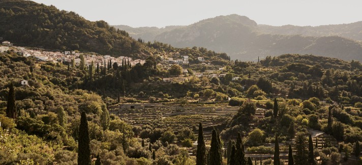 Vigneto Grecia