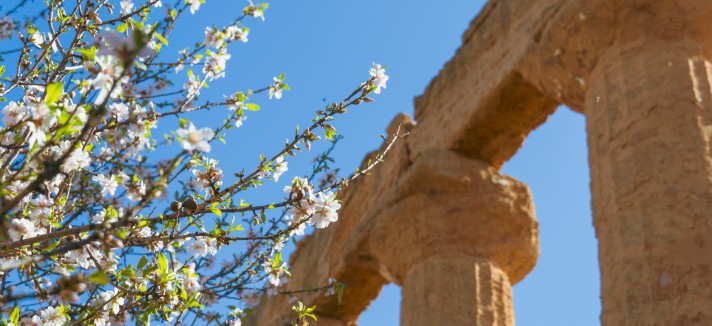 Quali sono le province di Sicilia