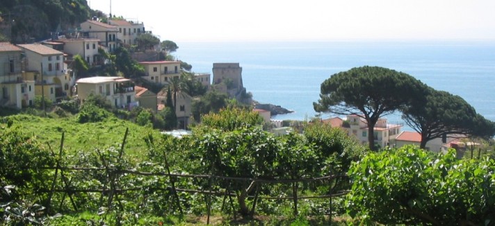 spiaggia di erchie