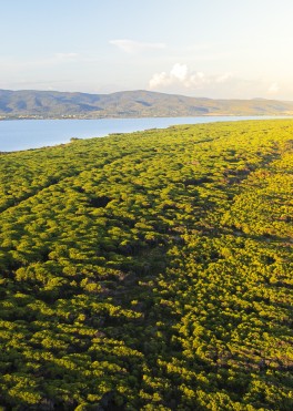 Que voir à Orbetello ?