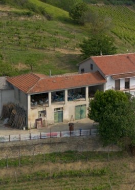 Urgent properties for sale