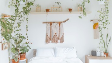 piante dormire