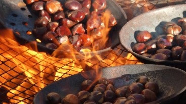 cosa succede se metti le castagne sul fuoco
