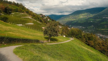 Alto Adige d’autunno: i waalwege tra castagne e vino nuovo