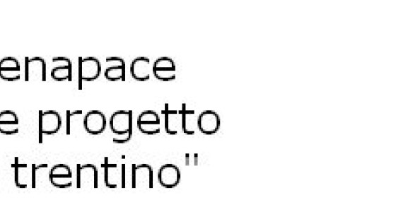 Case in legno: "fra 20 anni saranno ovunque"