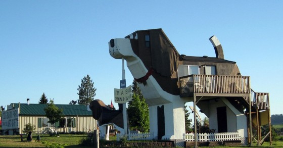 Hotel speciali: il paradiso dei cani e dei loro proprietari (stati uniti)