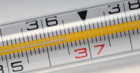 La cedolare secca nel 730: istruzioni per l'uso