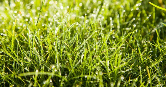 L'erba del vicino è sempre più verde? come si tassano gli affitti in europa