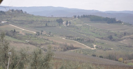 Castelnuovo berardenga, informazioni sul comune 